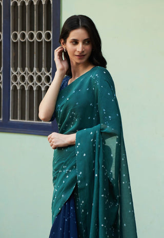 Emerald printed sari and blouse