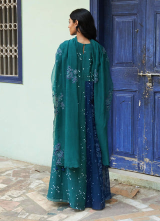 Emerald printed anarkali and dupatta