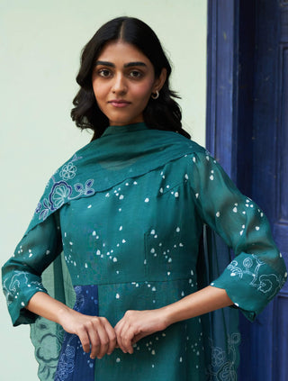 Emerald Printed Anarkali And Dupatta by Vaayu available on Indiaspopup