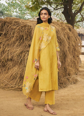 Daffodil embroidered kurta set
