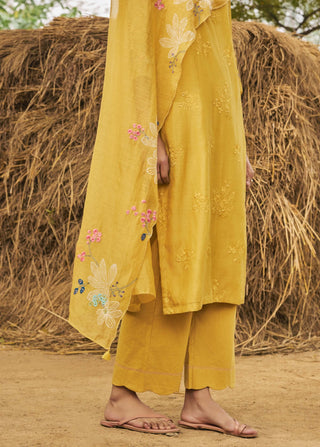 Daffodil embroidered kurta set