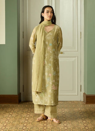 Meadow thread embroidered kurta set