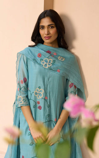 Powder blue applique kurta set