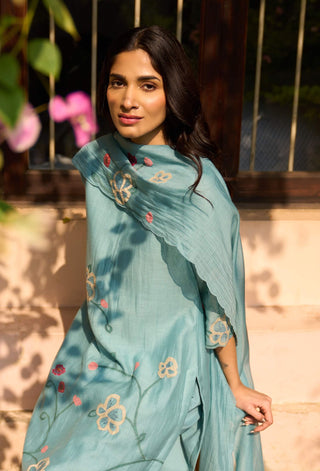 Powder blue applique kurta set