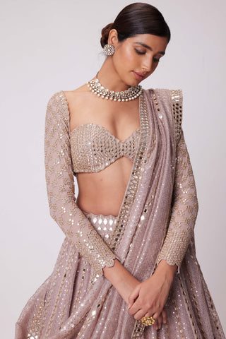 Ash pink sequin and mirror embroidered lehenga set
