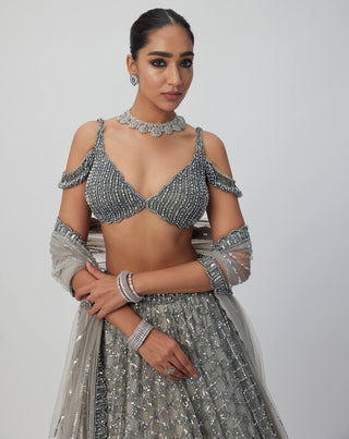 Crystal Gray Sequins Embroidered Lehenga Set by Vvani By Vani Vats available on Indiaspopup.com