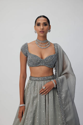 Crystal Gray Sequins Scattered Organza Lehenga Set by Vvani By Vani Vats available on Indiaspopup.com