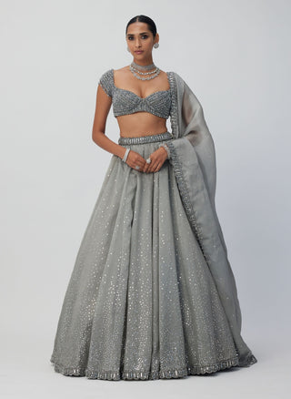 Crystal Gray Sequins Scattered Organza Lehenga Set by Vvani By Vani Vats available on Indiaspopup.com