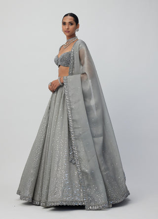 Crystal Gray Sequins Scattered Organza Lehenga Set by Vvani By Vani Vats available on Indiaspopup.com