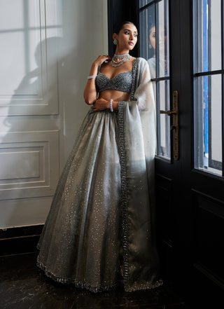 Crystal Gray Sequins Scattered Organza Lehenga Set by Vvani By Vani Vats available on Indiaspopup.com