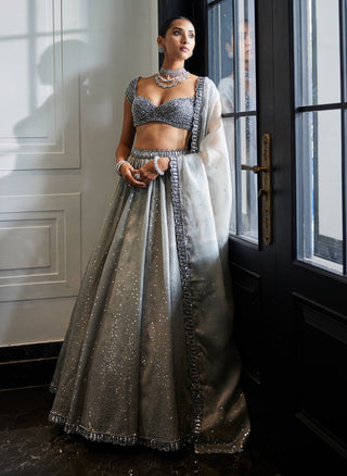 Crystal Gray Sequins Scattered Organza Lehenga Set by Vvani By Vani Vats available on Indiaspopup.com