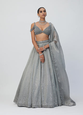 Crystal Gray Sequins Scattered Lehenga Set by Vvani By Vani Vats available on Indiaspopup.com