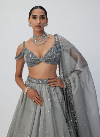 Crystal Gray Sequins Scattered Lehenga Set by Vvani By Vani Vats available on Indiaspopup.com