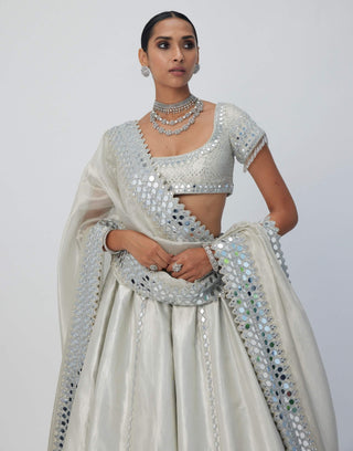 Silver shimmer organza linear lehenga set