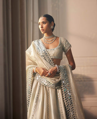 Silver shimmer organza linear lehenga set