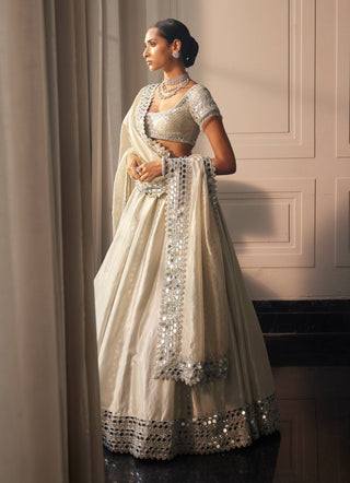 Silver shimmer organza linear lehenga set