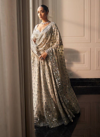 Silver shimmer organza  lehenga set