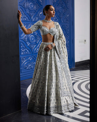 Silver shimmer organza  lehenga set