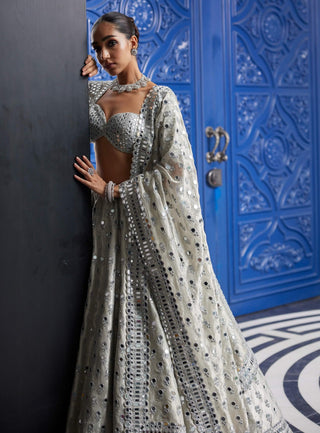 Silver shimmer organza  lehenga set