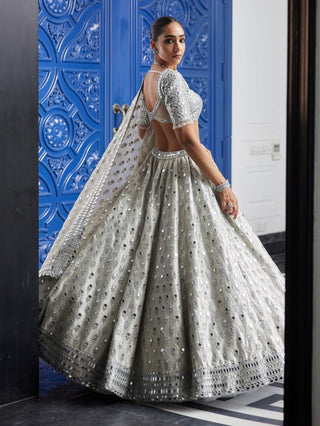 Silver shimmer organza  lehenga set