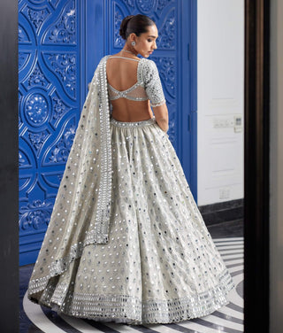 Silver shimmer organza  lehenga set