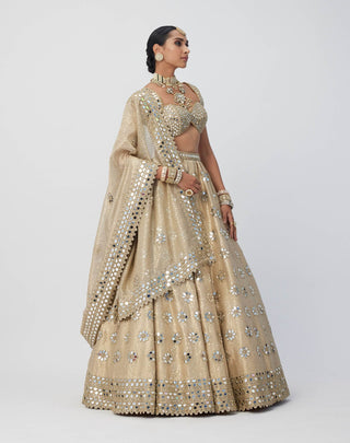 Golden shimmer organza flower lehenga set