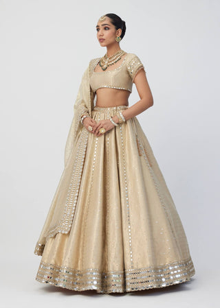 Golden shimmer organza linear lehenga set