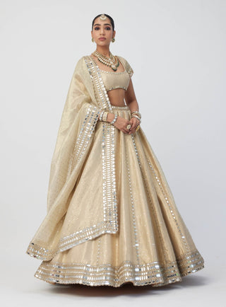 Golden shimmer organza linear lehenga set