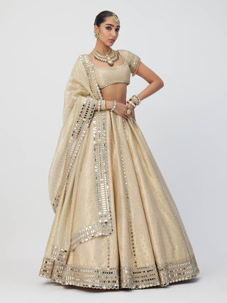 Golden shimmer organza linear lehenga set