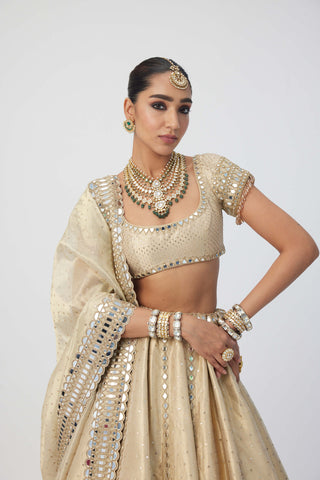 Golden shimmer organza linear lehenga set