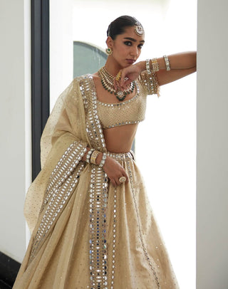 Golden shimmer organza linear lehenga set