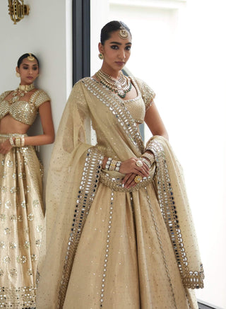 Golden shimmer organza linear lehenga set