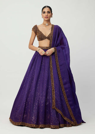 Royalty Purple Sequins Scattered Lehenga Set by Vvani By Vani Vats available on Indiaspopup.com