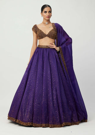 Royalty Purple Sequins Scattered Lehenga Set by Vvani By Vani Vats available on Indiaspopup.com