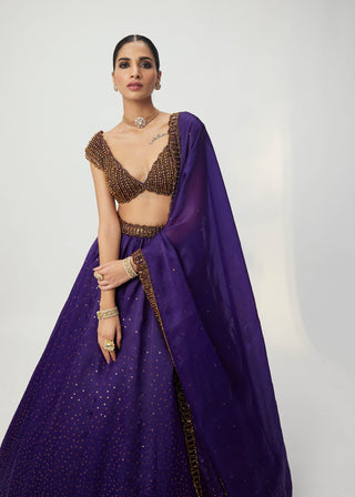 Royalty Purple Sequins Scattered Lehenga Set by Vvani By Vani Vats available on Indiaspopup.com