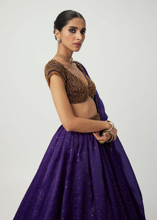 Royalty Purple Sequins Scattered Lehenga Set by Vvani By Vani Vats available on Indiaspopup.com