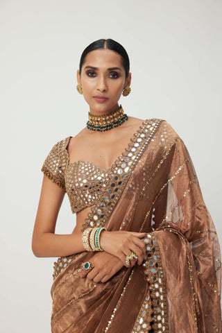 Copper shimmer organza sari and blouse