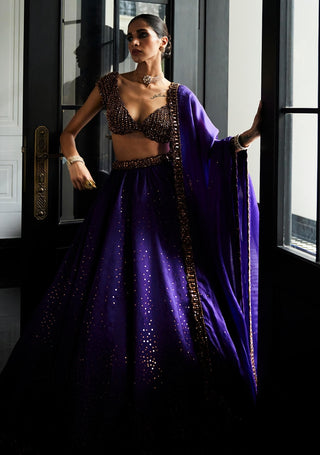 Royalty Purple Sequins Scattered Lehenga Set by Vvani By Vani Vats available on Indiaspopup.com