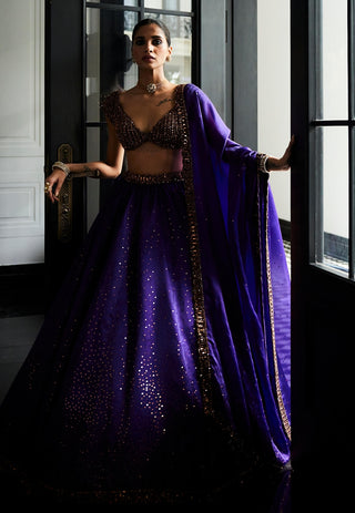 Royalty Purple Sequins Scattered Lehenga Set by Vvani By Vani Vats available on Indiaspopup.com