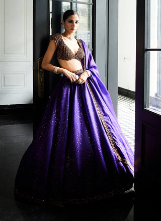 Royalty Purple Sequins Scattered Lehenga Set by Vvani By Vani Vats available on Indiaspopup.com