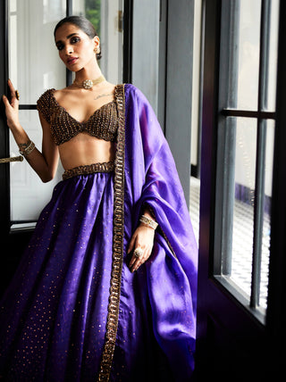 Royalty Purple Sequins Scattered Lehenga Set by Vvani By Vani Vats available on Indiaspopup.com