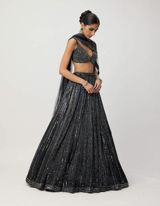 Black crystal linear embroidered lehenga set