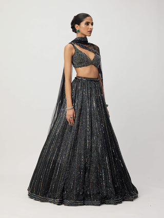 Black crystal linear embroidered lehenga set