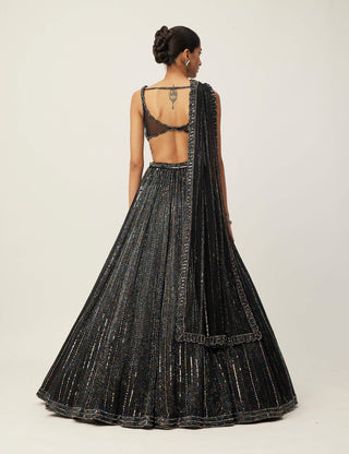 Black crystal linear embroidered lehenga set