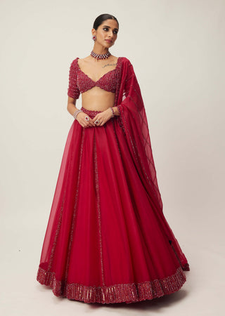 Ruby Red Organza Lehenga Set by Vvani By Vani Vats available on Indiaspopup.com