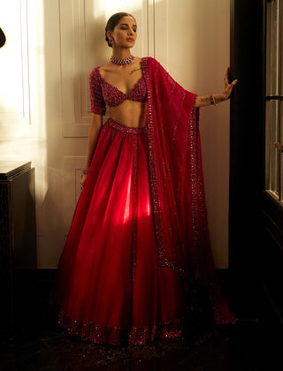 Ruby Red Organza Lehenga Set by Vvani By Vani Vats available on Indiaspopup.com