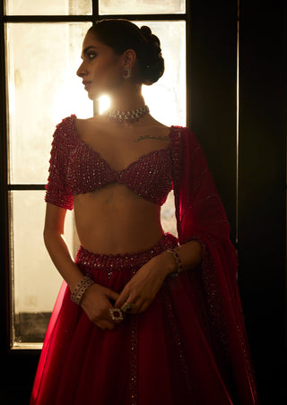 Ruby Red Organza Lehenga Set by Vvani By Vani Vats available on Indiaspopup.com