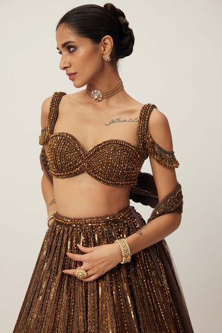 Copper Crystal Linear Embroidered Lehenga Set by Vvani By Vani Vats available on Indiaspopup.com