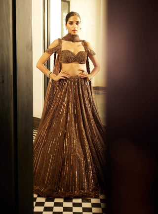 Copper Crystal Linear Embroidered Lehenga Set by Vvani By Vani Vats available on Indiaspopup.com