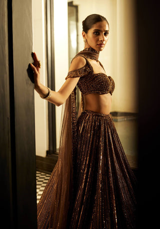 Copper Crystal Linear Embroidered Lehenga Set by Vvani By Vani Vats available on Indiaspopup.com